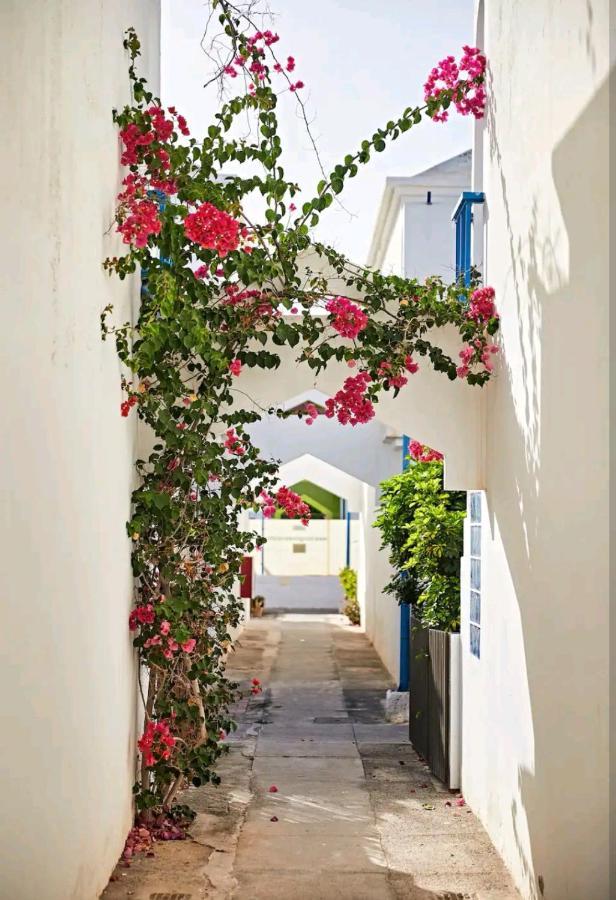 Maspalomas Casa La Loba 外观 照片